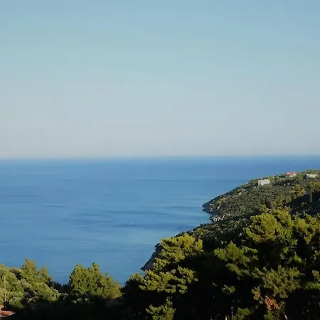With Amazing View *