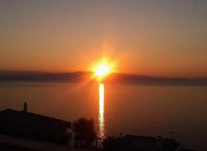 With Amazing View Githio